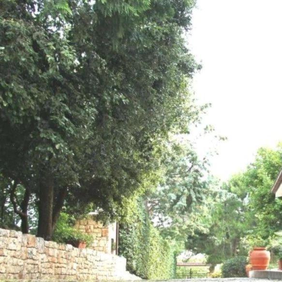 Casa Marisa Villa Vacanza Castellana Grotte Zewnętrze zdjęcie