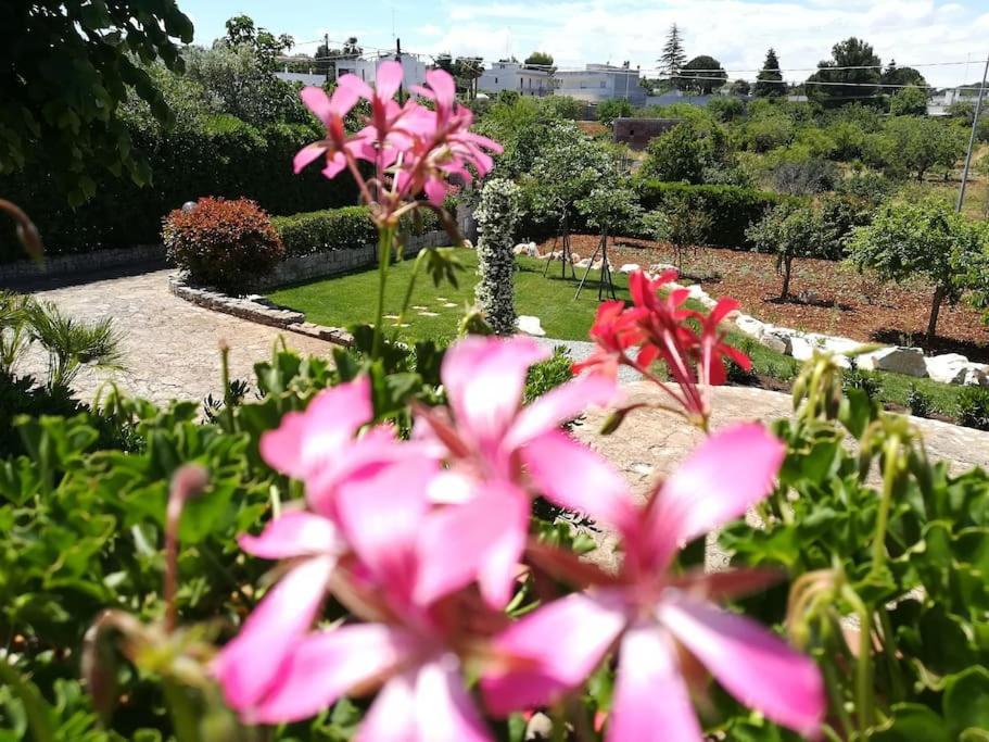 Casa Marisa Villa Vacanza Castellana Grotte Zewnętrze zdjęcie