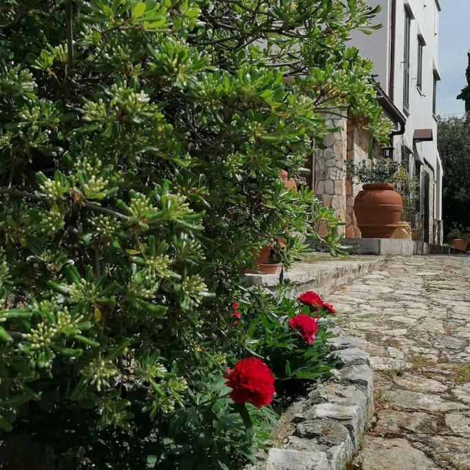 Casa Marisa Villa Vacanza Castellana Grotte Zewnętrze zdjęcie