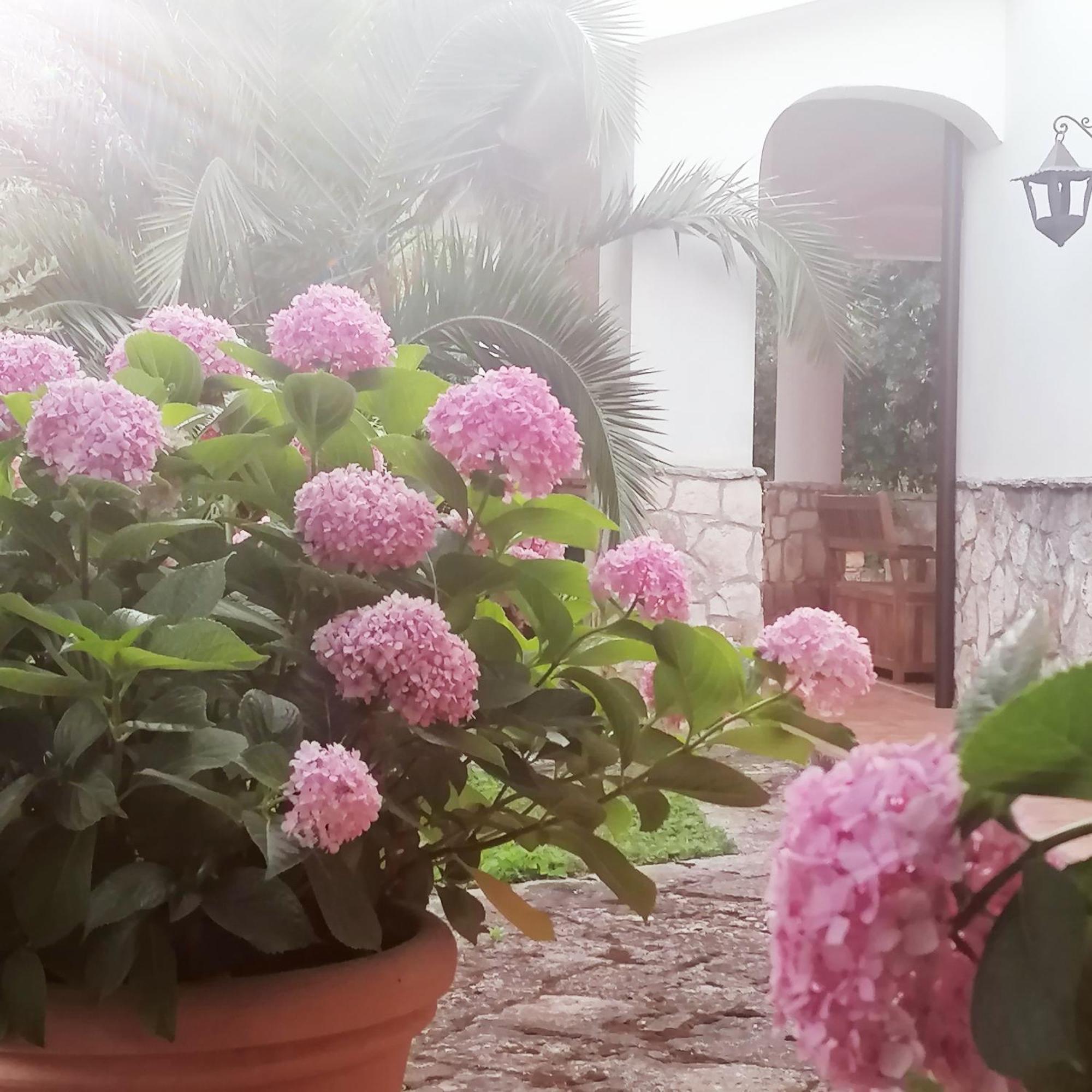 Casa Marisa Villa Vacanza Castellana Grotte Zewnętrze zdjęcie