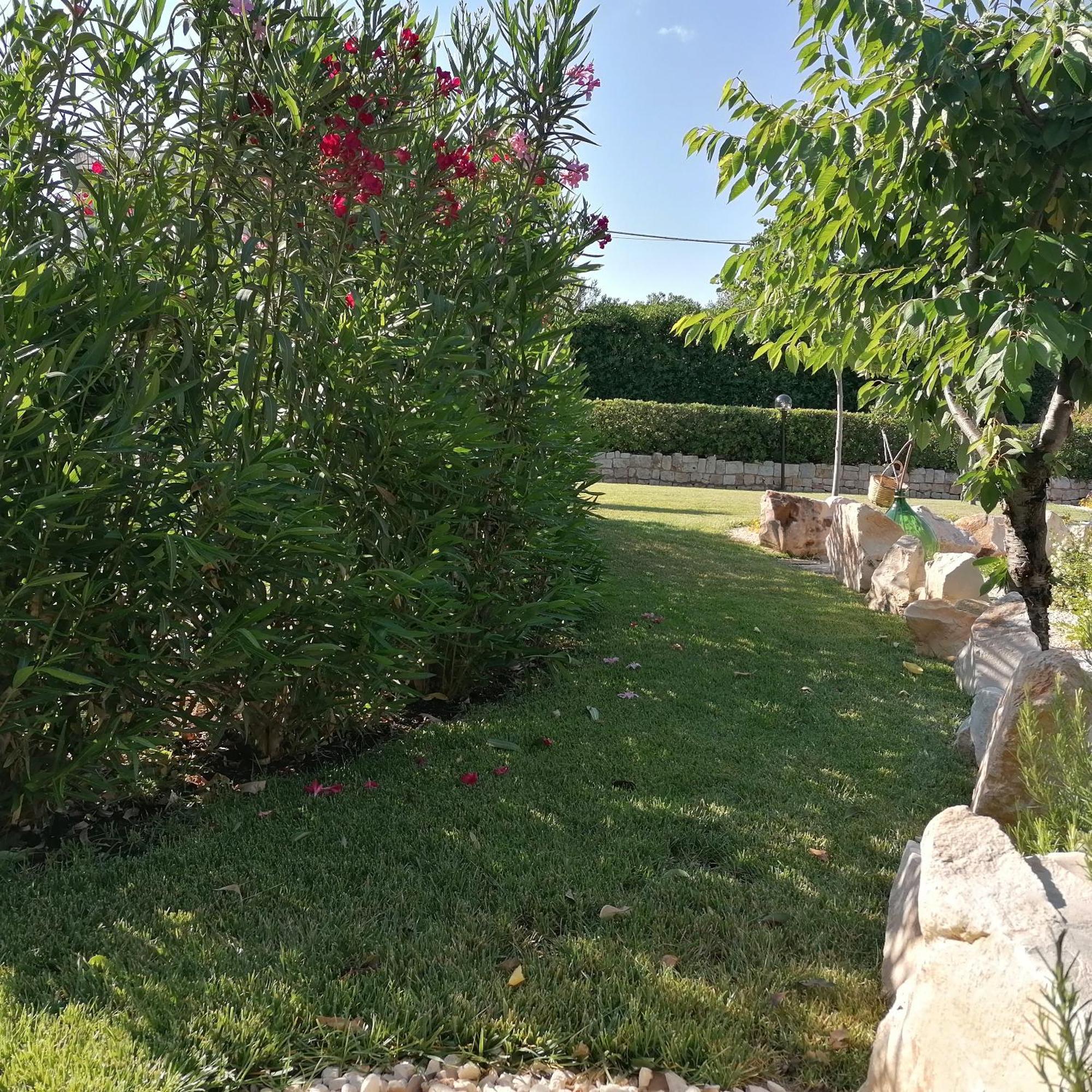 Casa Marisa Villa Vacanza Castellana Grotte Zewnętrze zdjęcie