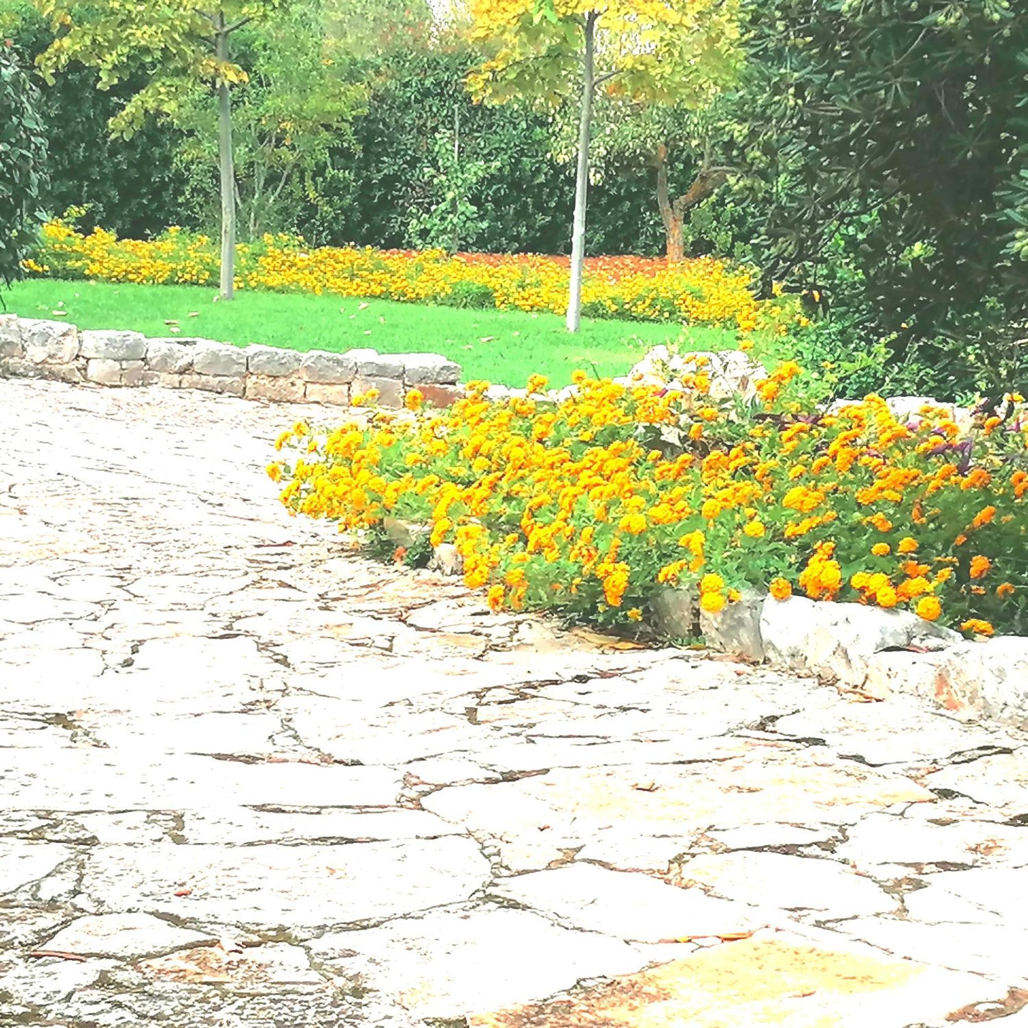 Casa Marisa Villa Vacanza Castellana Grotte Zewnętrze zdjęcie