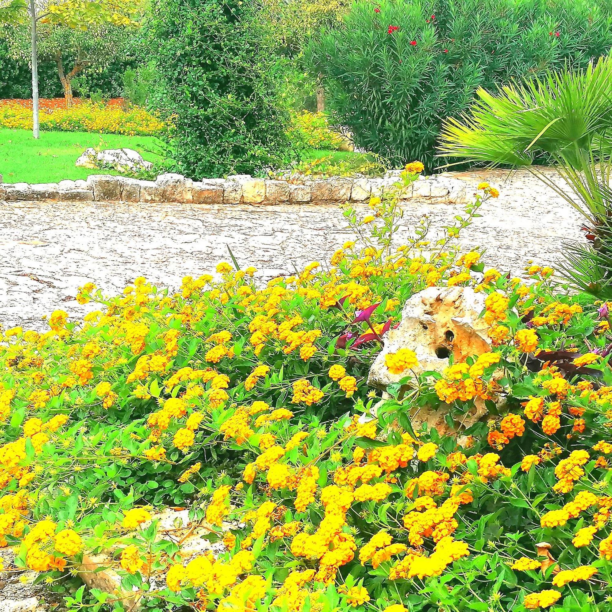 Casa Marisa Villa Vacanza Castellana Grotte Zewnętrze zdjęcie